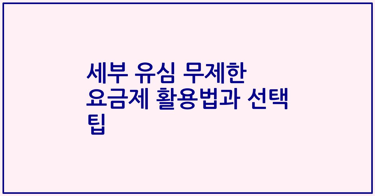 세부 유심 무제한 요금제 활용법과 선택 팁