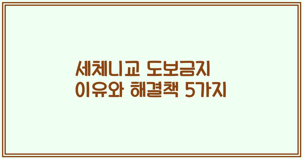 세체니교 도보금지 이유와 해결책 5가지