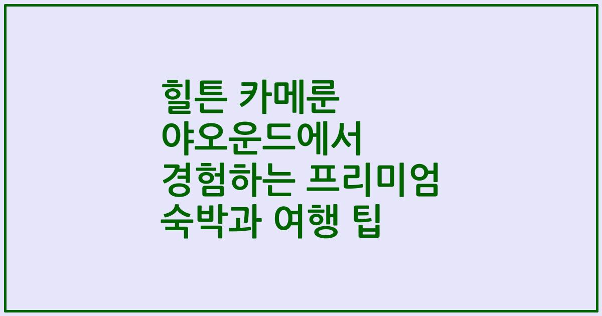 힐튼 카메룬 야오운드에서 경험하는 프리미엄 숙박과 여행 팁